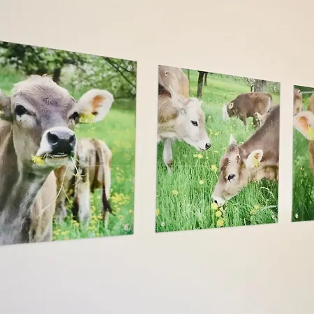 Koenig - Urlaub Auf Dem Bauernhof * Neukirch (Tubingen)